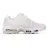 Nike Air Max Plus TN Terrascape White