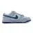 Nike Dunk Low Purple Pulse