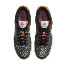 Nike Dunk Low Rainbow Trout
